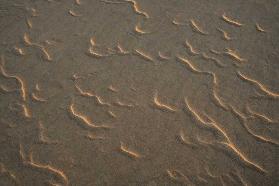 https://p4.img.cctvpic.com/photoworkspace/contentimg/2025/08/05/2025080513022391133.jpg